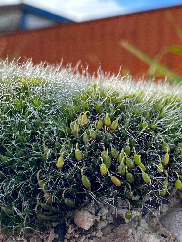 Image uploaded by Michele