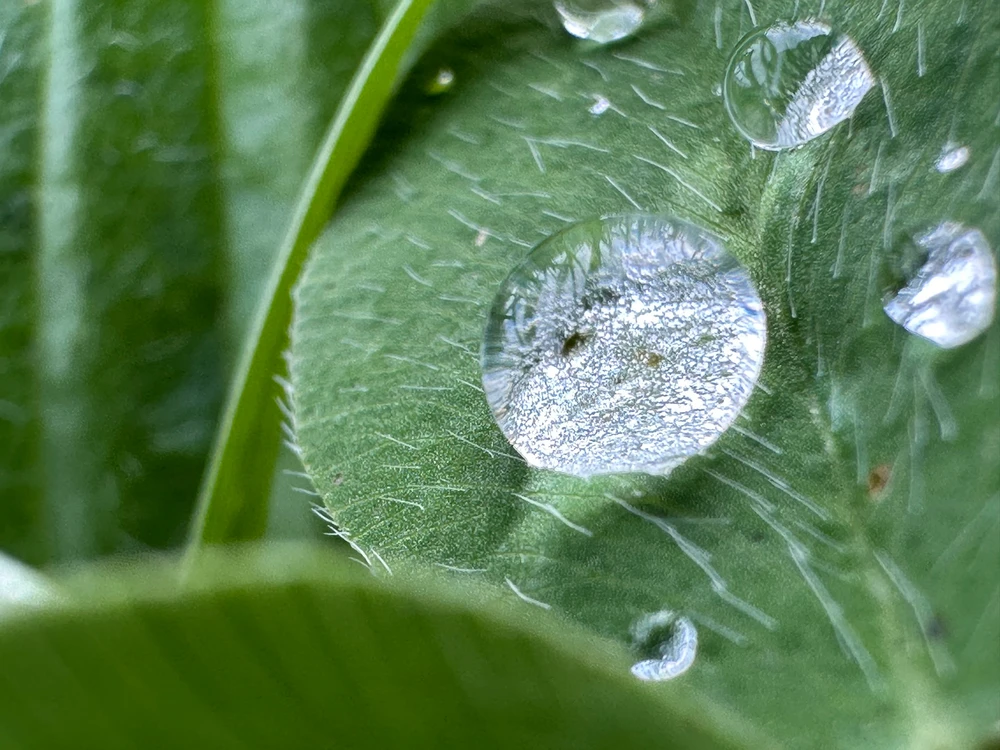 Image uploaded by Michele