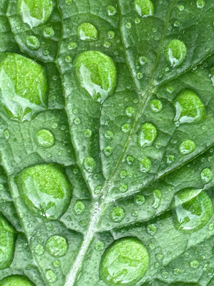 Image uploaded by Michele