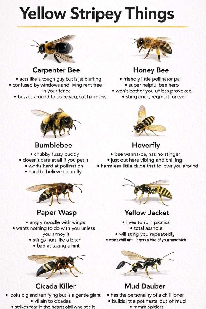 GIF uploaded by Eric