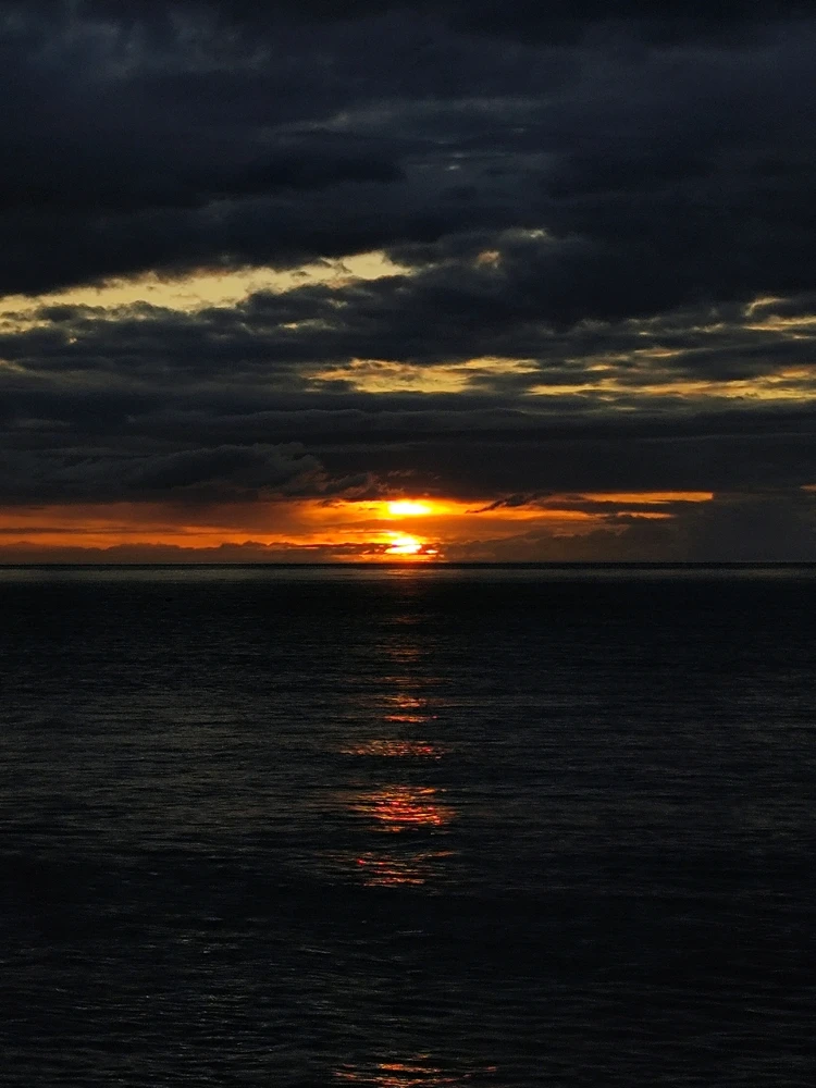 Image uploaded by Han