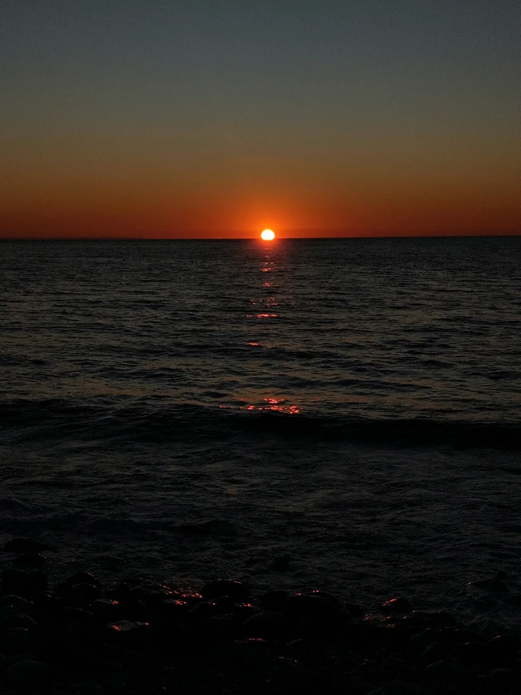 Image uploaded by Han