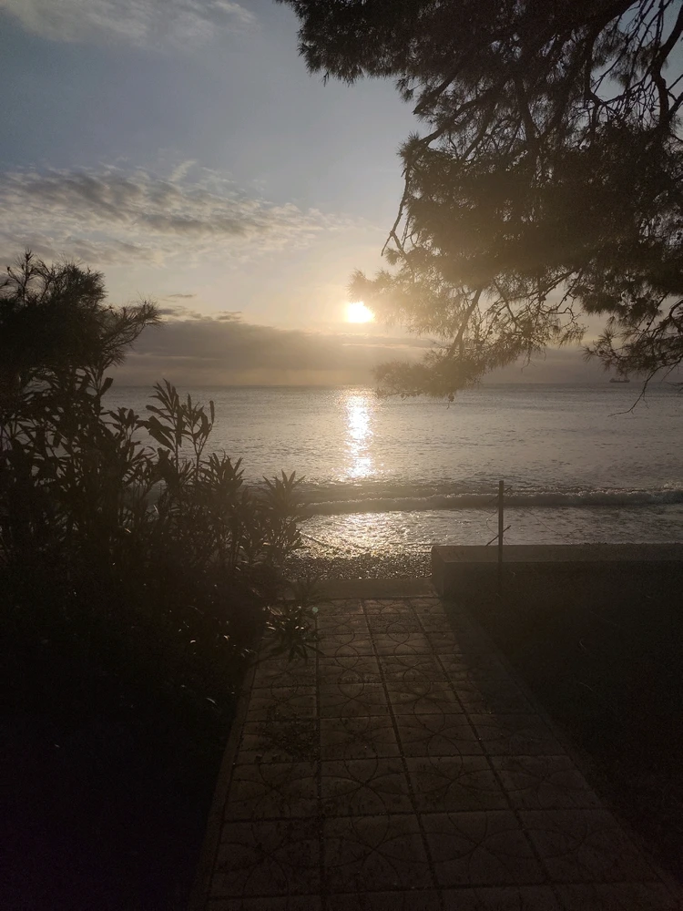 Image uploaded by Han