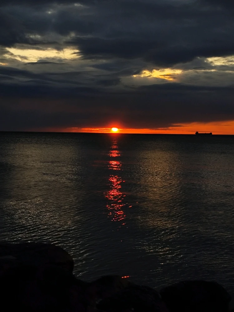 Image uploaded by Han