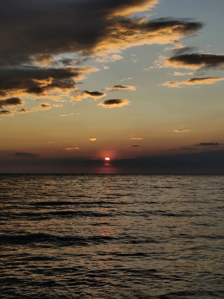 Image uploaded by Han