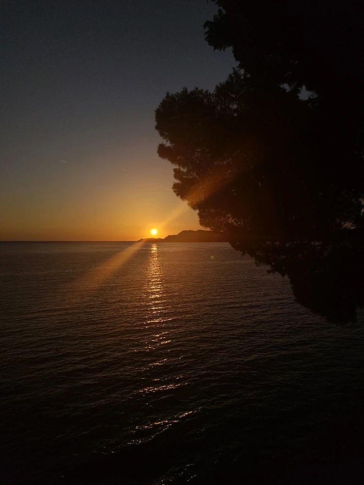 Image uploaded by Han