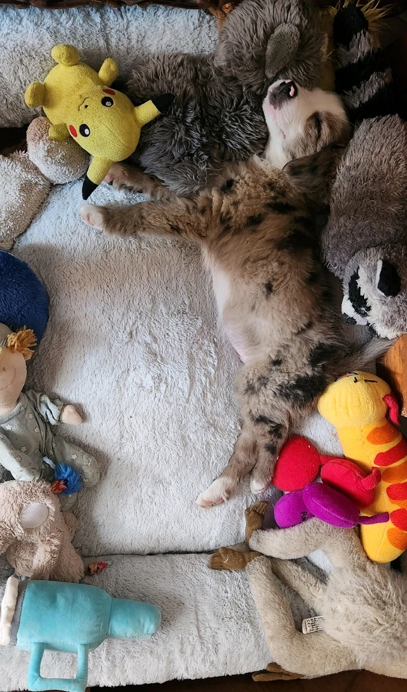 GIF uploaded by ᘻᗩᖇᑢᘿᒪᗩ