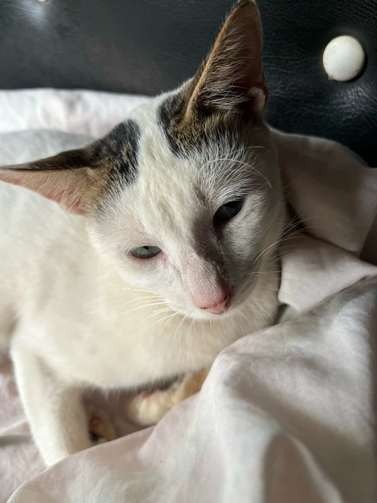 Image uploaded by Veronica