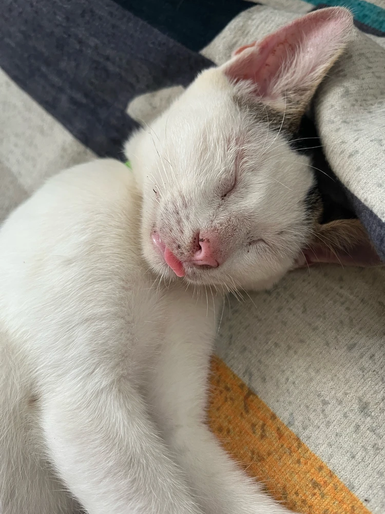 Image uploaded by Veronica