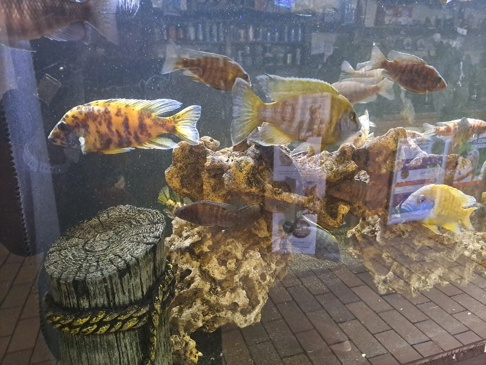 GIF uploaded by Sandz