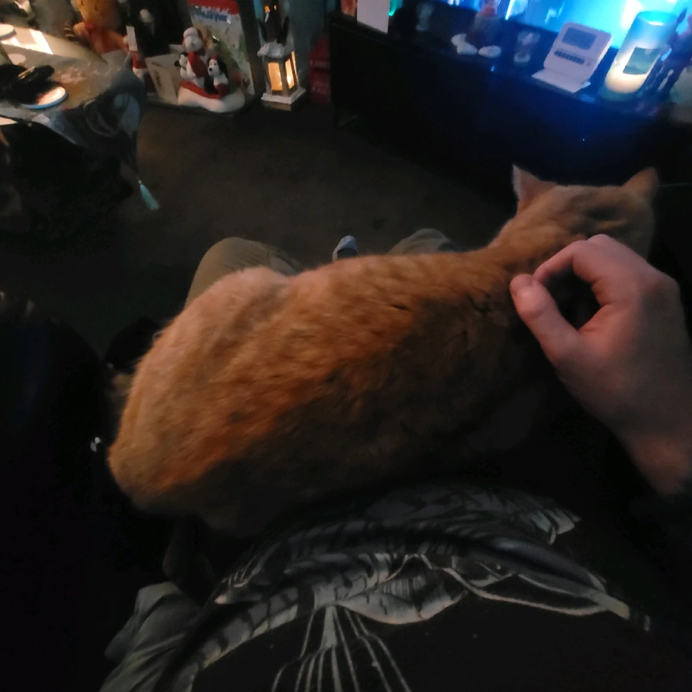 GIF uploaded by Luke