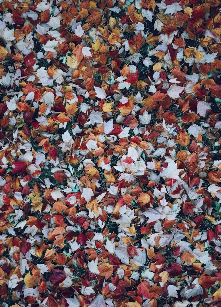 GIF diunggah dening Ryan