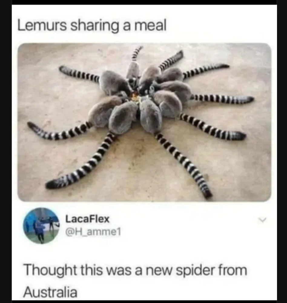 GIF uploaded by 🌙✨ℳℯ𝓁𝒶𝓃𝒾𝓆𝓊ℯ✨🌙