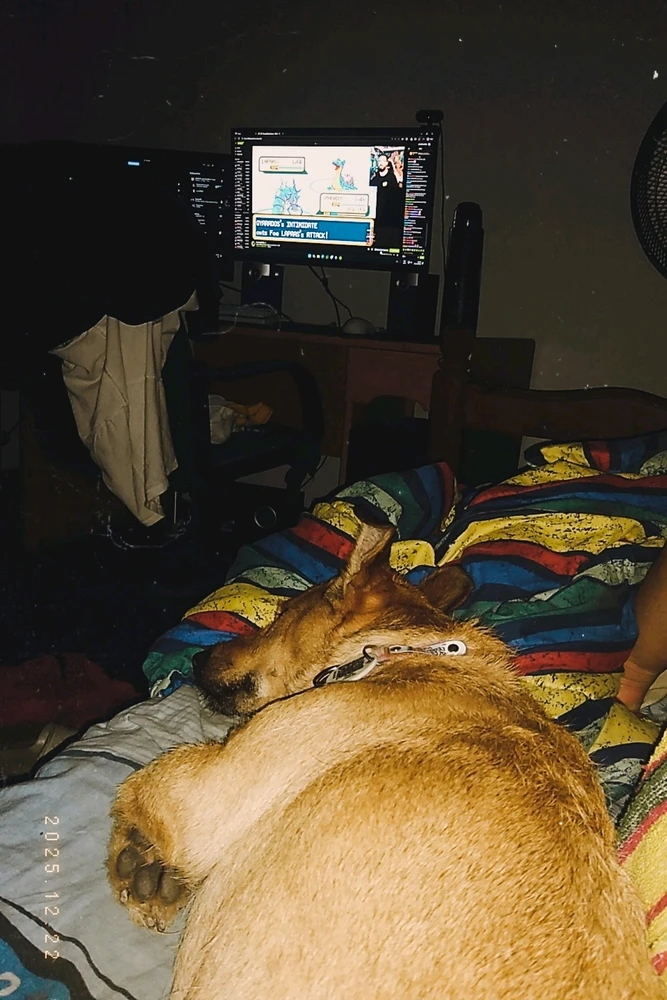 GIF subido por Rodrigo