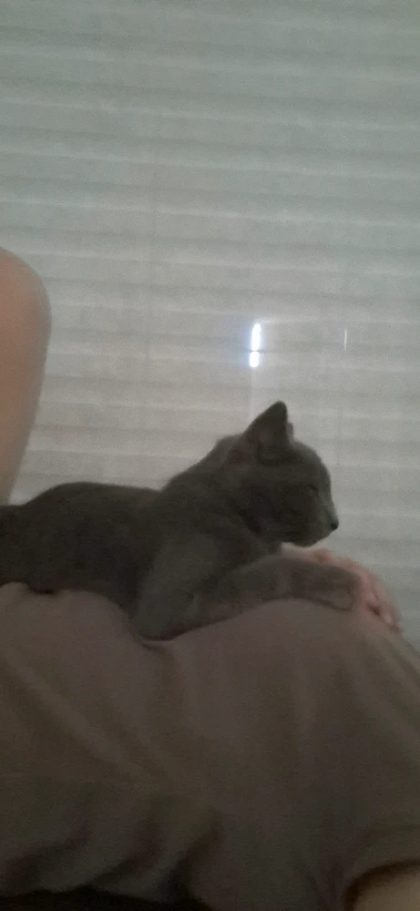 Image uploaded by Jane