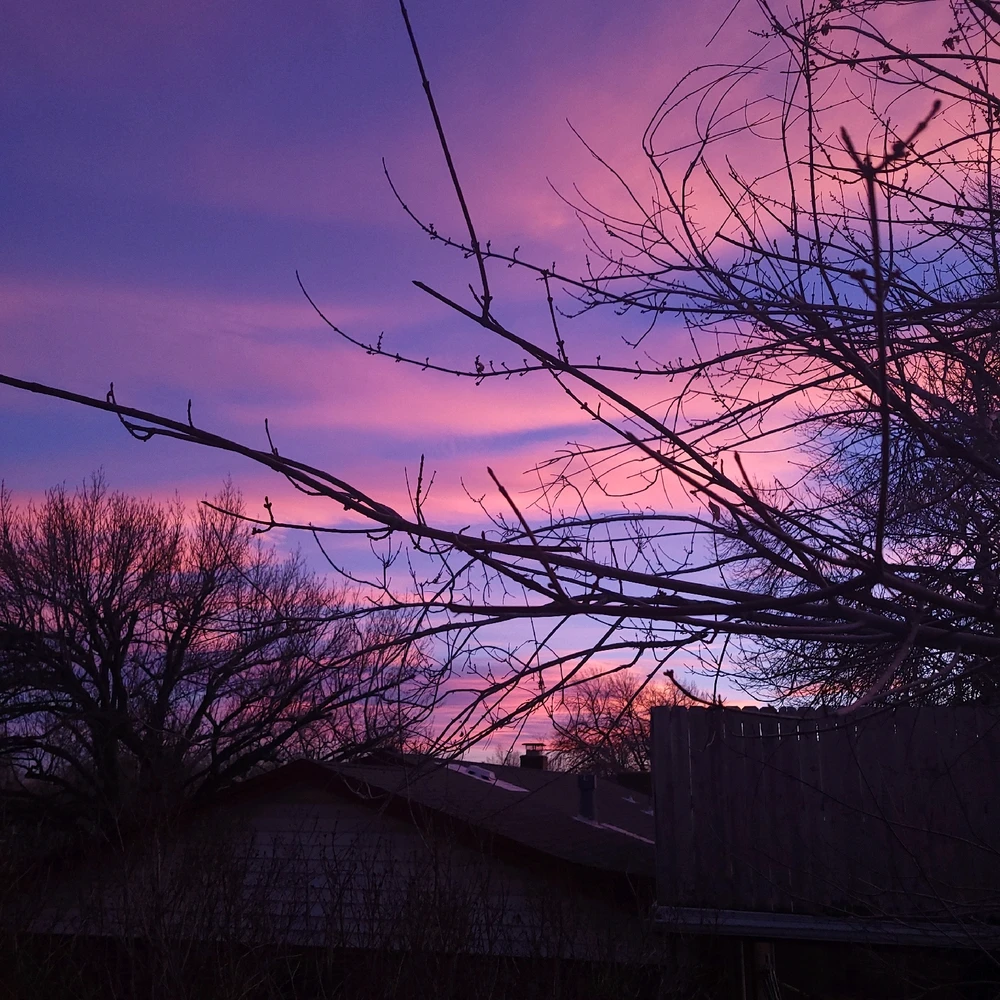 GIF uploaded by Chani