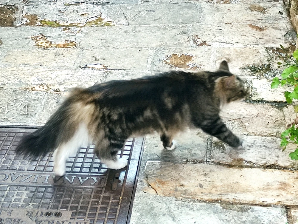 GIF uploaded by Jurica