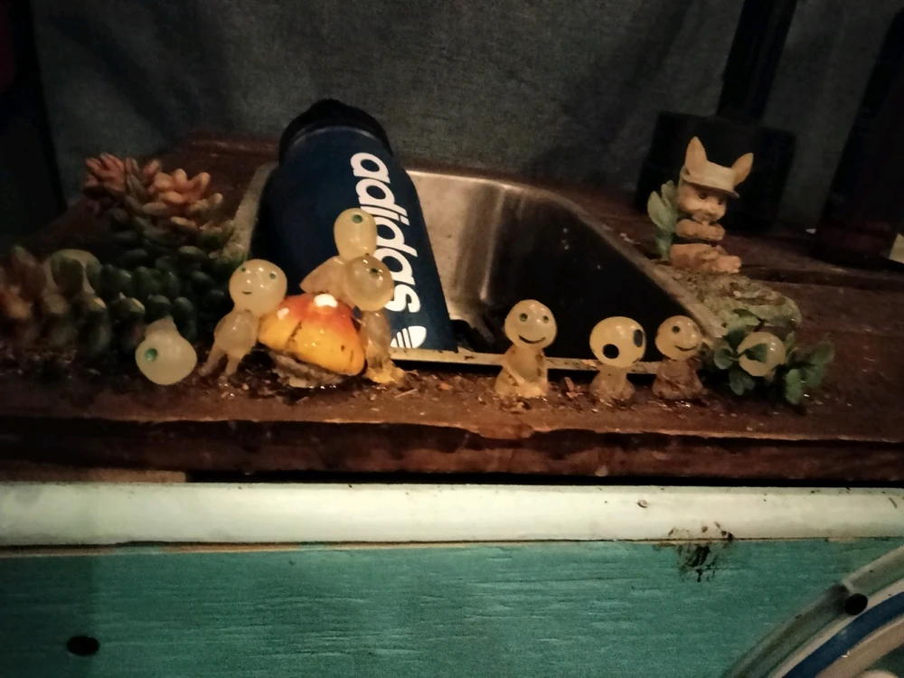 Image uploaded by Joe King