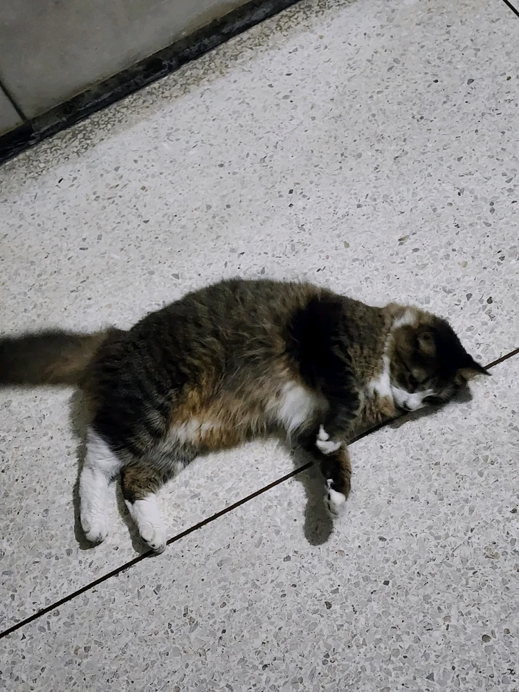 Imagen subida por Derek