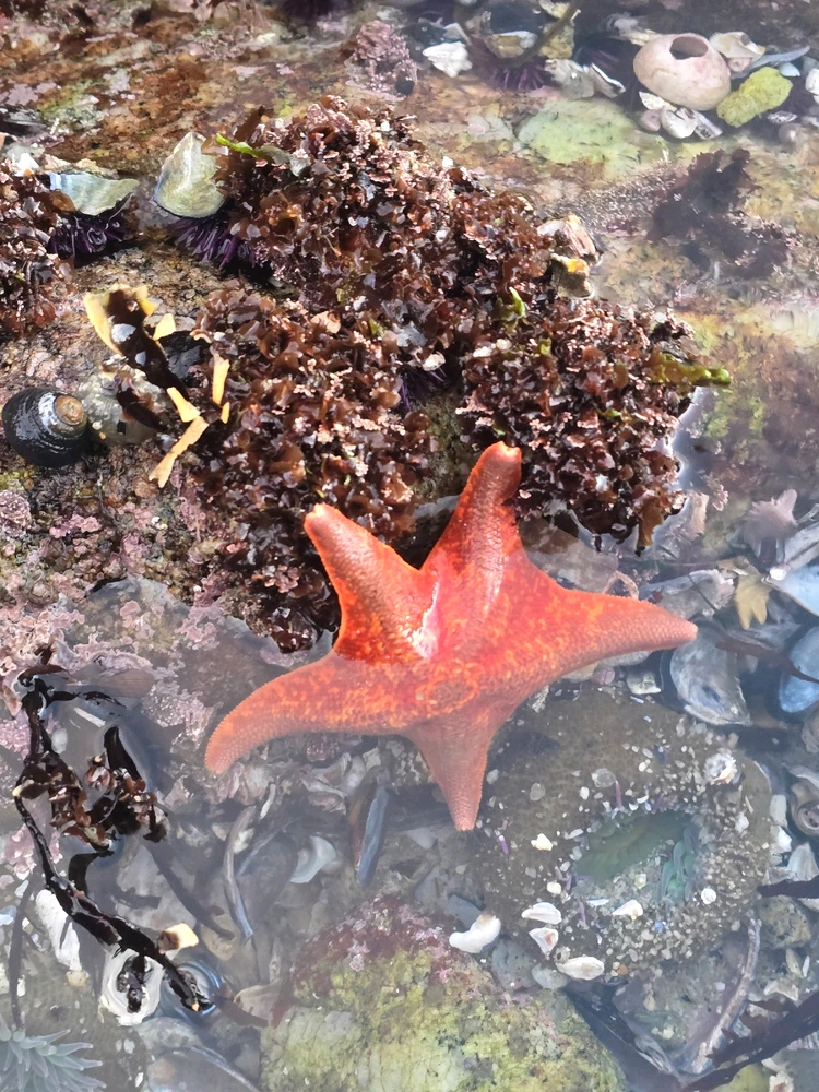 GIF uploaded by William