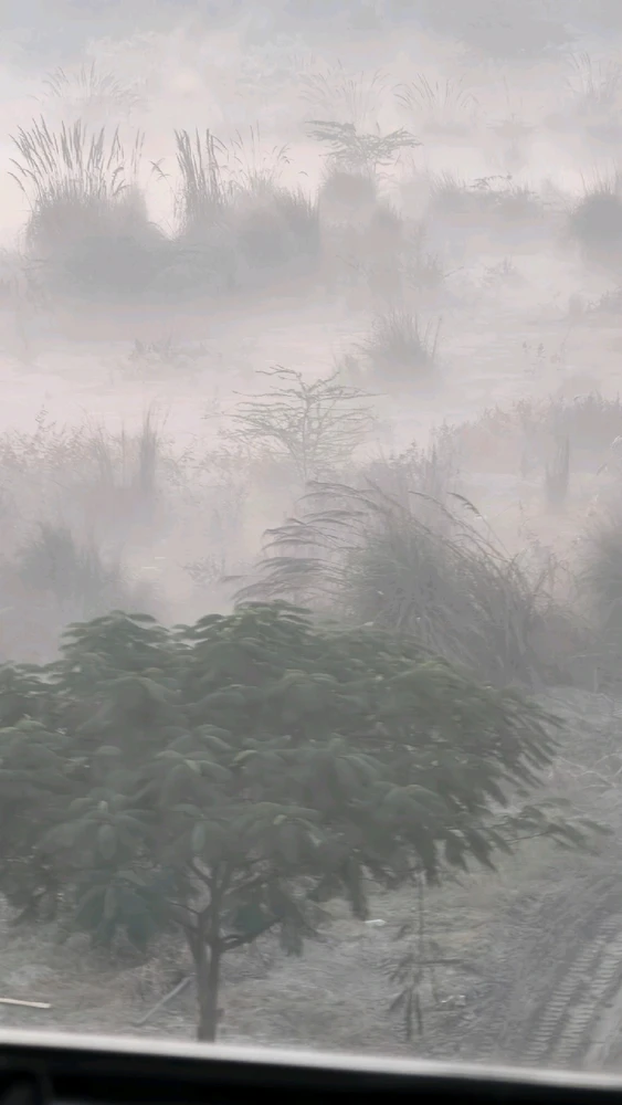 GIF uploaded by Shiv Rana