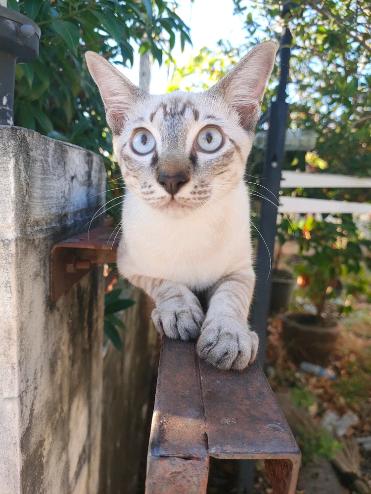 GIF uploaded by Jellyfish