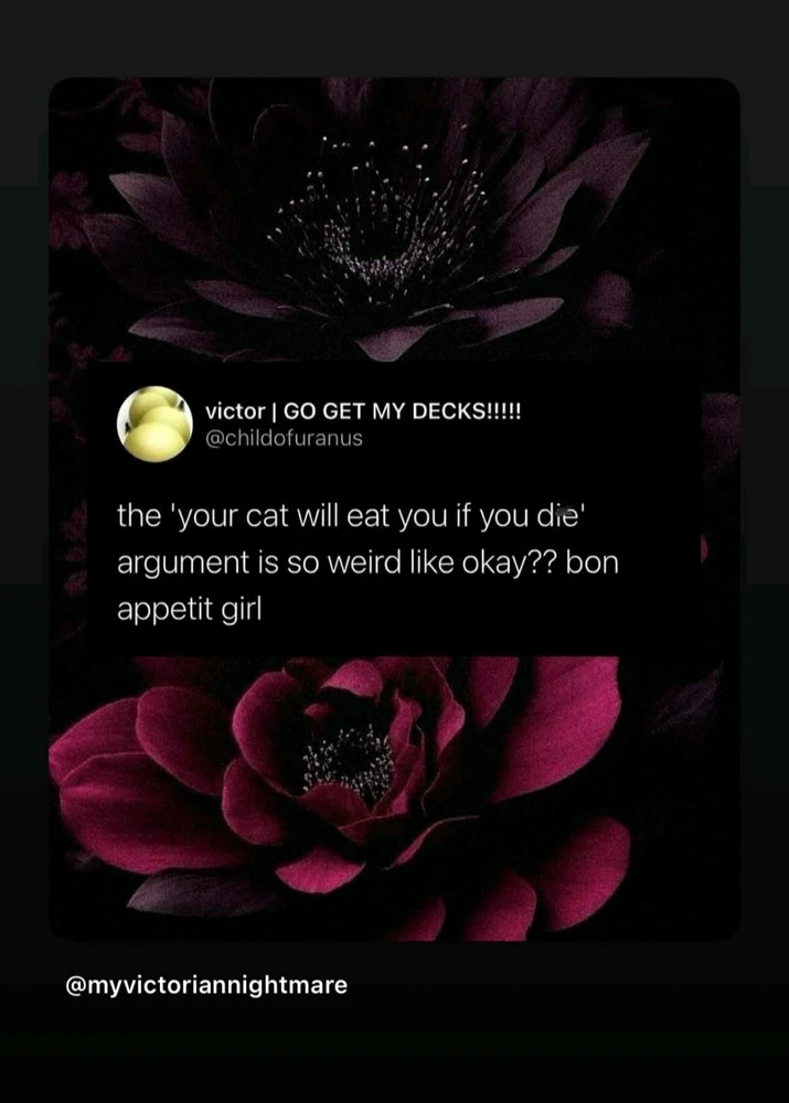 GIF uploaded by Jacqueline