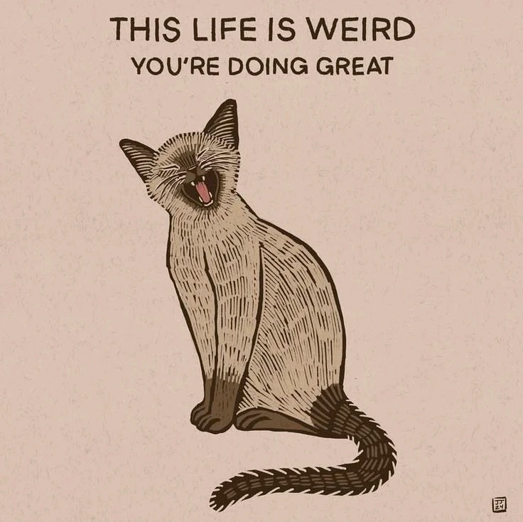 GIF uploaded by JULIETTE