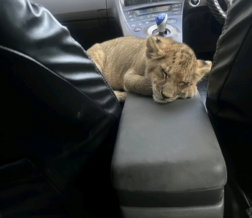 GIF diunggah oleh Fea