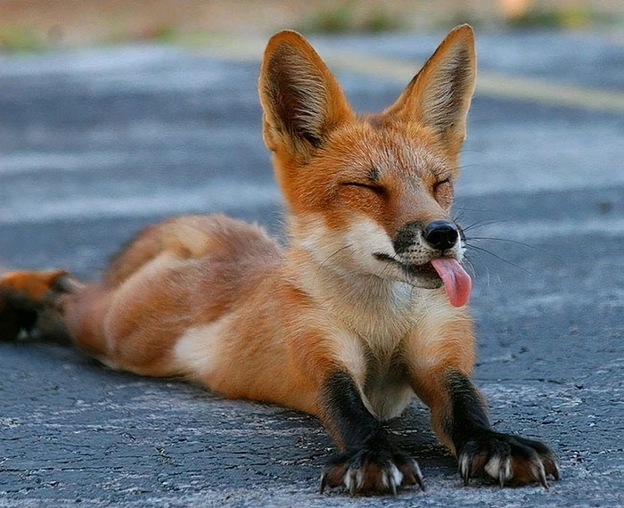 GIF diunggah dening Kushy