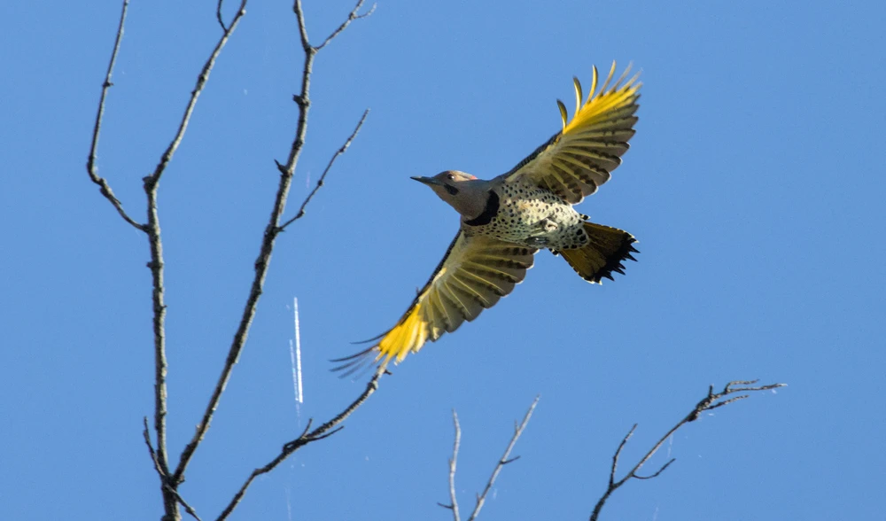 Image uploaded by Casper