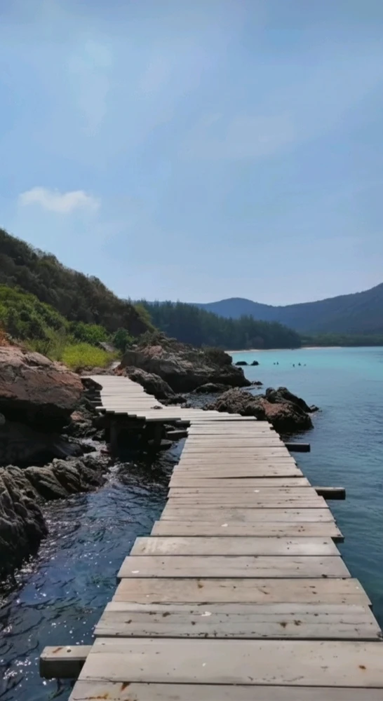 GIF uploaded by Jellyfish