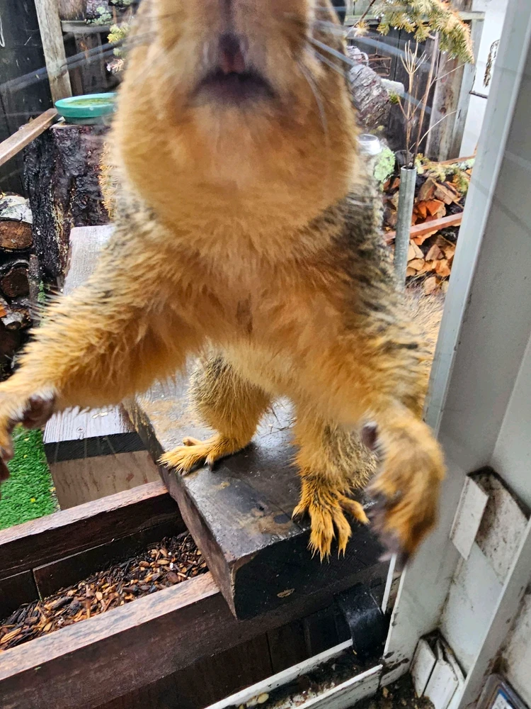 GIF uploaded by William