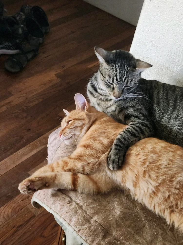 GIF uploaded by Hayden