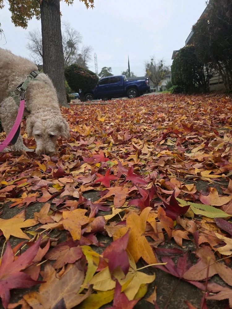 GIF uploaded by Denis