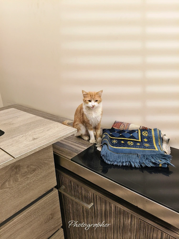 GIF uploaded by Ahmed