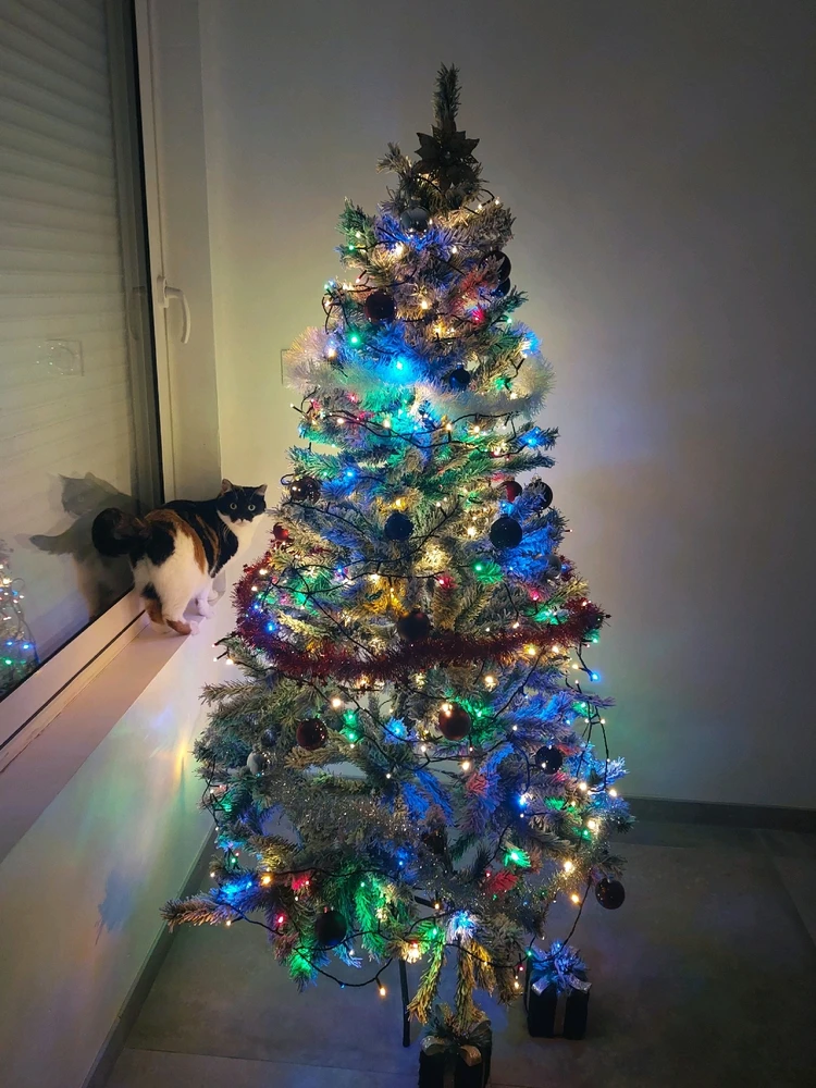 GIF ajouté par Caroline