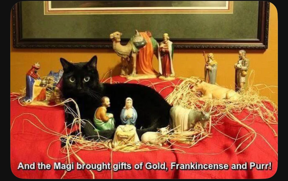 GIF uploaded by 🌙✨ℳℯ𝓁𝒶𝓃𝒾𝓆𝓊ℯ✨🌙