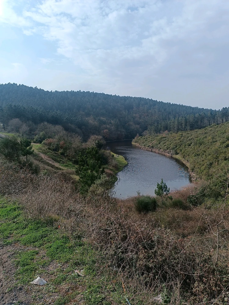 Cem tarafından yüklenen GIF