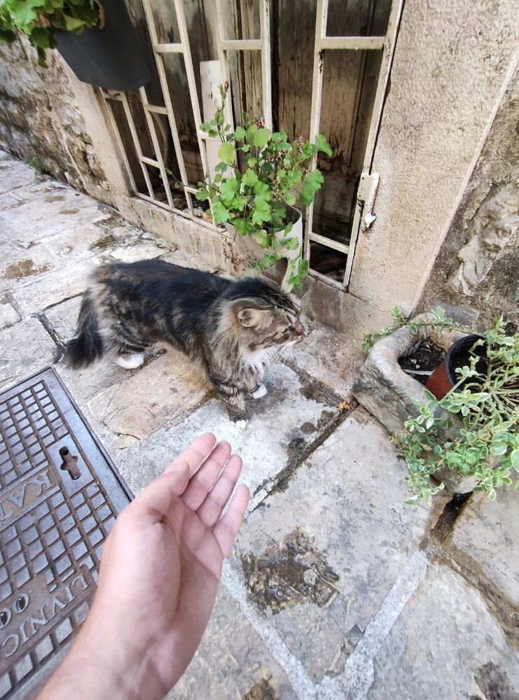 GIF uploaded by Jurica