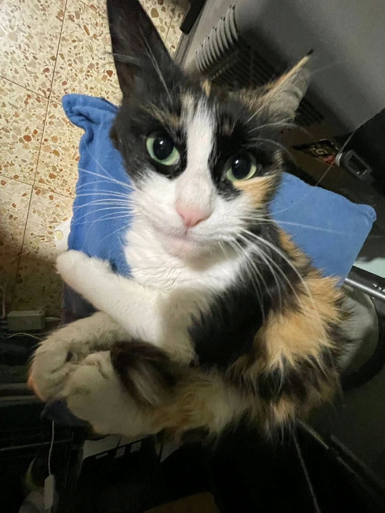 GIF uploaded by Sarah