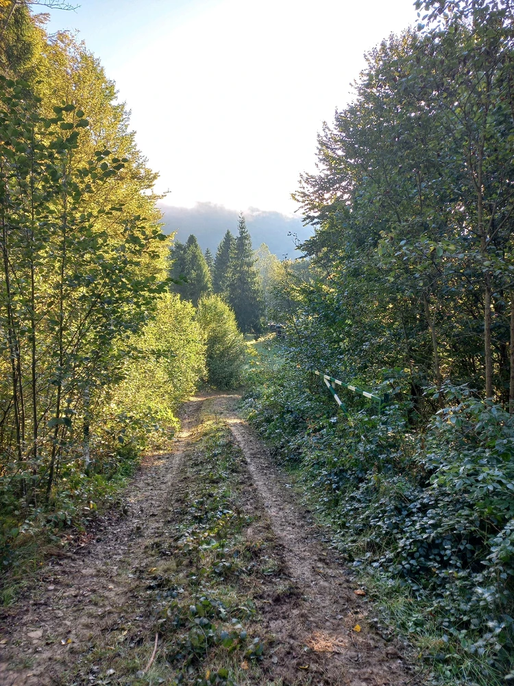 Зображення завантажив Анна