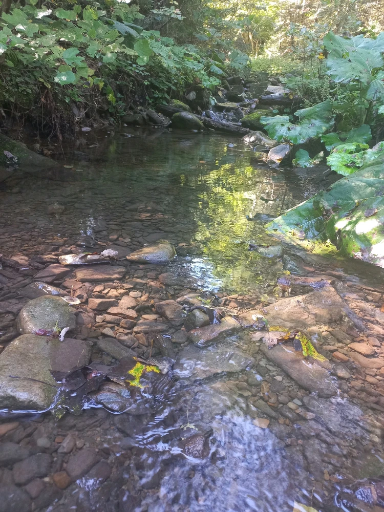 Зображення завантажив Анна