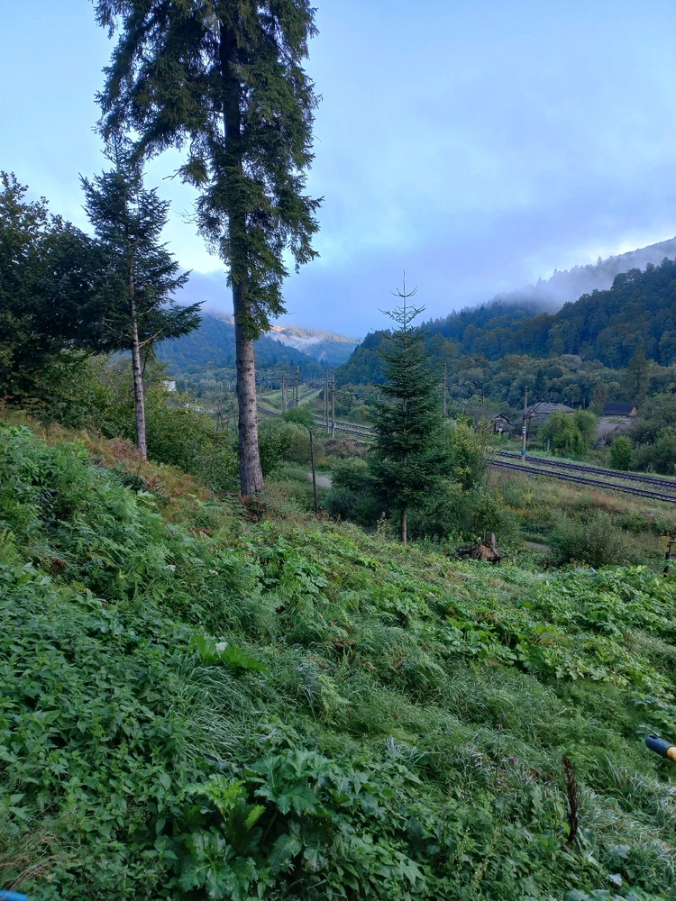 Зображення завантажив Анна