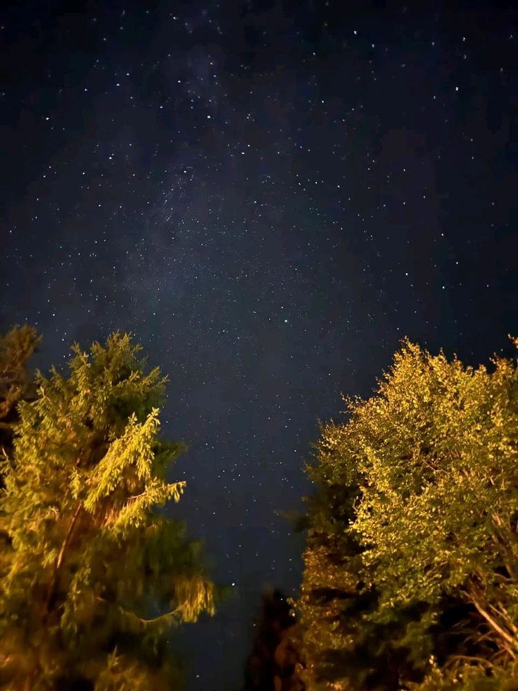 Зображення завантажив Анна