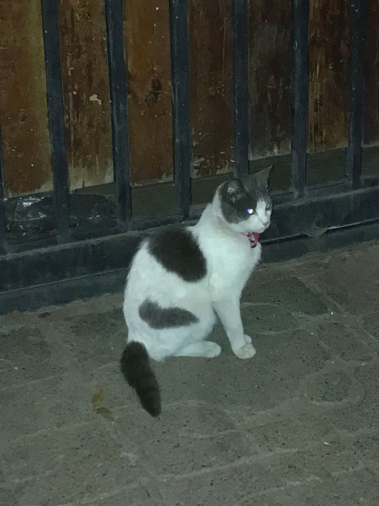 GIF uploaded by Gabriel