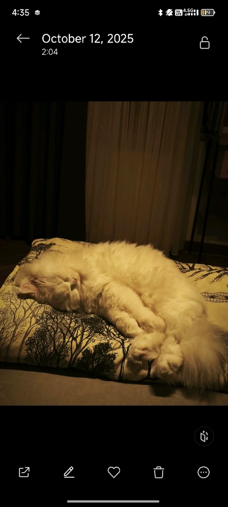 Image uploaded by Şehir