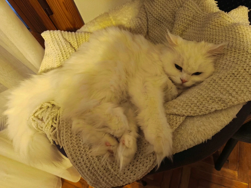 Image uploaded by Şehir