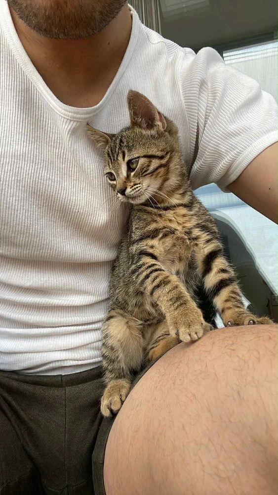 Peti által feltöltött GIF