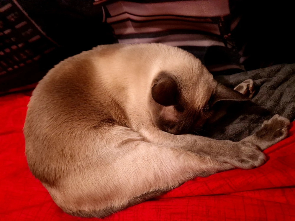 GIF uploaded by Rita